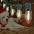 C9 LED Christmas Lights Outdoor 25FT, 25 Energy Efficient Warm White Vintage Bulbs, Connectable, Weatherproof for Roof, Xmas Tree, Porch, Yard, Patio, Holiday Decor - Green Wire
