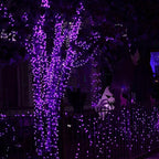 Dazzle Bright Halloween Fairy String Lights, 20 FT 60 LED Copper Wire Battery Operated Waterproof Lights, Halloween Decorations for Indoor Home Room Outdoor Garden Patio Party Decor (Purple)