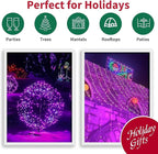 LAMPHOME 33ft Halloween Decorative Mini Lights, 100 LED Transparent Wire Fairy Starry String Lights Plug in, 11Lighting Modes, for Halloween Decoration Outdoor Xmas Tree Party Decoration (Purple)