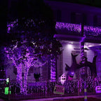Dazzle Bright Halloween Fairy String Lights, 20 FT 60 LED Copper Wire Battery Operated Waterproof Lights, Halloween Decorations for Indoor Home Room Outdoor Garden Patio Party Decor (Purple)