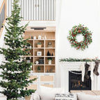 Idyllic Christmas Wreath for Front Door,20" Winter Wreath with Pine Cones Red Berries and Eucalyptus, Winter Decorations for Everyday Farmhouse Window Outdoor/Indoor