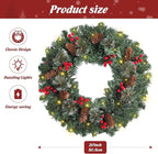 FR Artificial Pre-Lit Fir Christmas Wreath Holiday Accent Decoration, Wintry Pine, Decorated with Pine Cones Berry Clusters Frosted Branches, with LED Lights for Door, Mantel 20 Inch