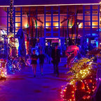 Dazzle Bright Halloween Fairy String Lights, 20 FT 60 LED Copper Wire Battery Operated Waterproof Lights, Halloween Decorations for Indoor Home Outdoor Garden Patio Yard Party Decor (Orange)