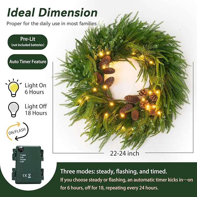 24 Inch Real Touch Norfolk Pine Wreaths for Front Door, Soomeir Artificial Christmas Wreath Green Faux Pine Wreath for Wall Windows Mantle Outdoor Christmas Decoration