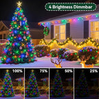 Christmas Lights Indoor Outdoor Waterproof, 132FT 400 LED Multicolor String Lights for House Decorations, Ideal for Christmas Trees, Wedding, and Party