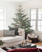 DFXSZ Christmas Throw Pillow Covers 12x20 Inch Set of 2 Merry Christmas Farmhouse Decorations Believe Holiday Decor Throw Cushion Case for Home Couch