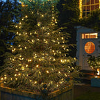 Dazzle Bright C9 Christmas Lights Outdoor, 50 LED 33ft Waterproof Green Wire String Lights, Indoor Outdoor Fairy Lights for Christmas Tree Xmas Yard Party Wedding House Decorations (Warm White)