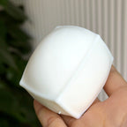 Creamy Tofu